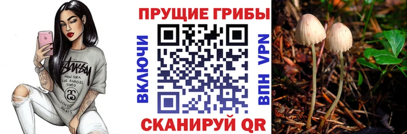Галлюциногенные грибы MAGIC MUSHROOMS  закладки  Калач-на-Дону 